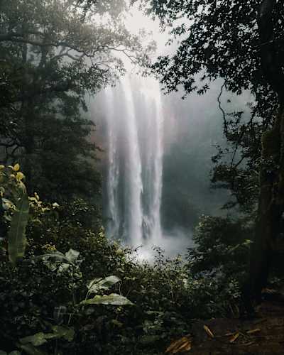 Vista de la casca Kiki en Panamá