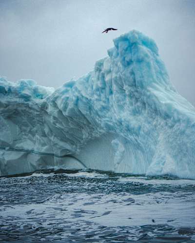 Molly Carlson leaps from an iceberg to the Atlantic Ocean in Canada