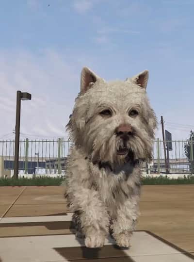 Grand Theft Auto 5: How to play as a dog in GTA V