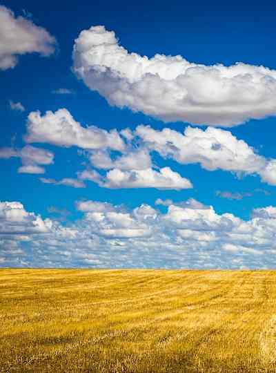 天気が分かる7つの雲