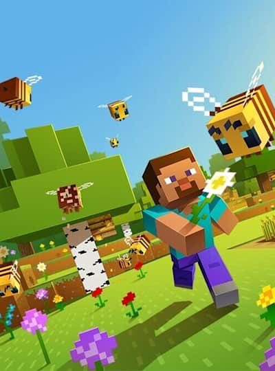 The History Of Minecraft