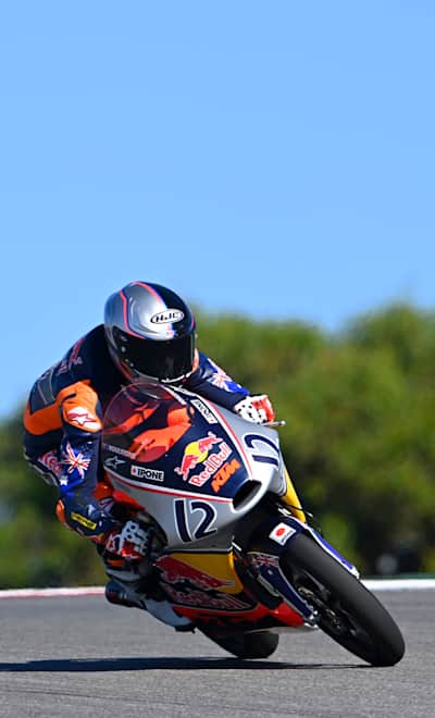Jaco da red bull sales preço