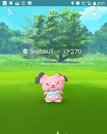 Pokemon Go Ditto Guide Heres How To Catch A Ditto In Ppt