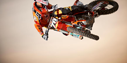 roczen whip