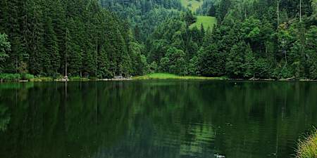 Zwischen 2 Gemeinden liegt der Taubensee.