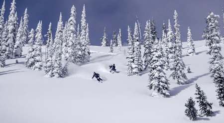 Follow Cam in the deep pow