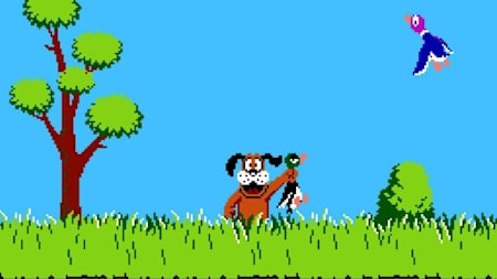 Duck Hunt