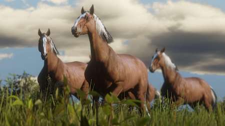 I haven't seen a horse looking this sad since all of Bojack Horseman