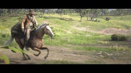 Taking it all in stride