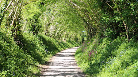 The Camel Trail cycle route, Cornwall