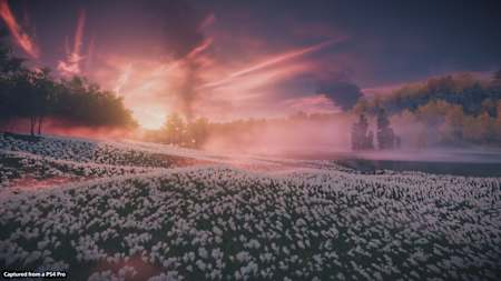 Die Spielwelt von Ghost of Tsushima. Das Open-World-Spiel überzeugt mit einem künstlerischen Look, der für wunderschöne Bilder sorgt.