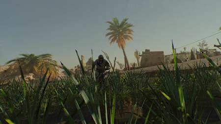 Screenshot aus Assassin's Creed Mirage zeigt Basim in hohem Gras.