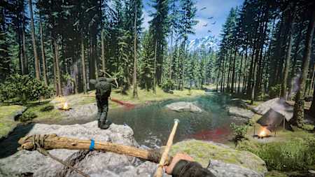 This 'forest' is more scary than lush - beware!