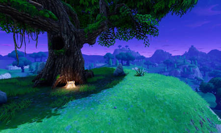 A screenshot showing a tree and the landscape in Fortnite Battle Royale chest.
