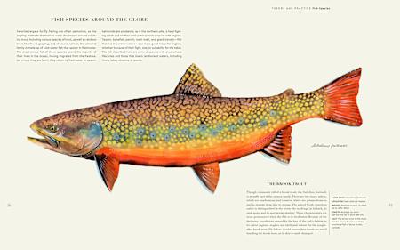 The Fly Fisher - über den Reiz des Fliegenfischens The Fly Fisher - über den Reiz des Fliegenfischens