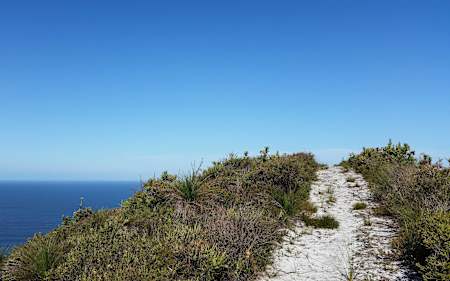 A coastal path from Terra's journey.