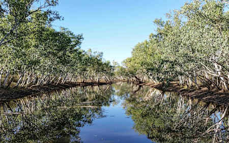 For Terra, nature has always been a second home.