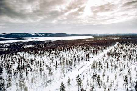 Red Bull Nordenskiöldsloppet is a long race. A very long race.