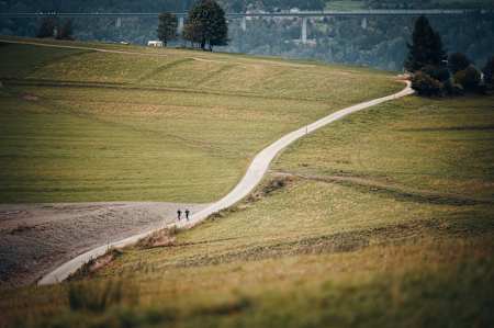 Spontaniczny support był potrzebny