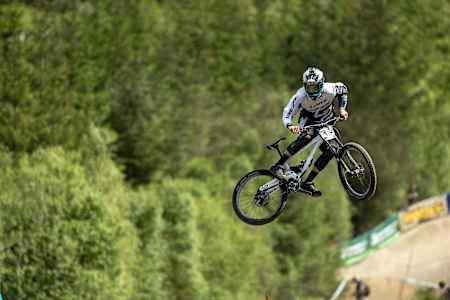 罗伊克·布鲁尼的原型拉比尔 罗伊克·布鲁尼的原型拉比尔