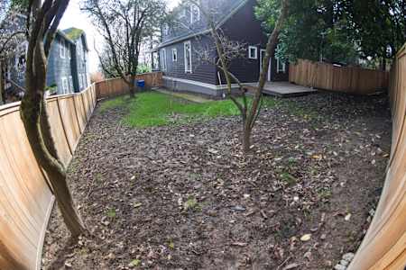 The yard: Before