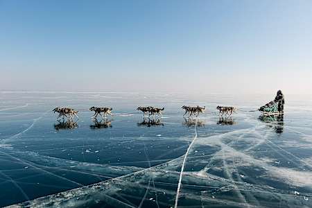 Der französische Abenteurer Nicolas Vanier fährt mit dem Hundeschlitten während der L'Odysee Sauvage über den Baikalsee in Russland.