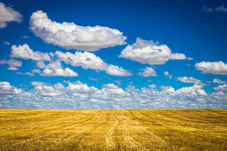 Cumulus sobre o campo