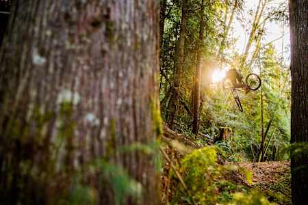 Brendan Howey whips through the trees