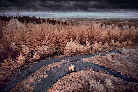 Mads Weidemann sweeps down the trails in Vallåsen mountain bike park in Southern Sweden in October 2014.