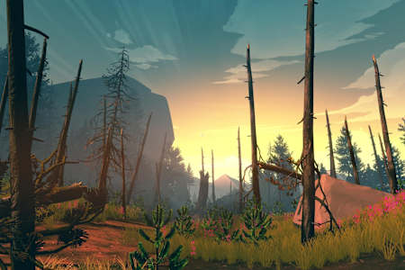 Wyoming Forest, gutted by the fires of 1988