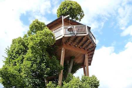 Hier schläft man im Wipfel der 300-jährigen Linde