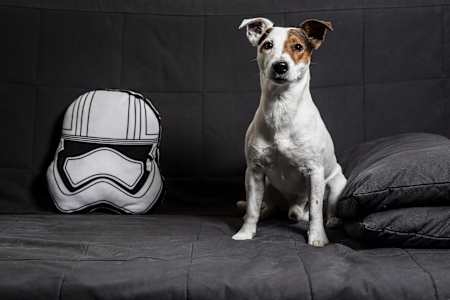 Terezie Kovalová ve svém bytě – série LIVI'N