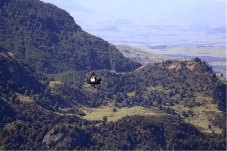 Lugares increíbles en el sur del país