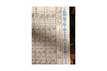スマホ向け『ダービーオーナーズクラブ』はヒットし、大井競馬場で冠レース開催イベントも行われた