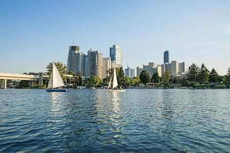 Sommer an der Alten Donau