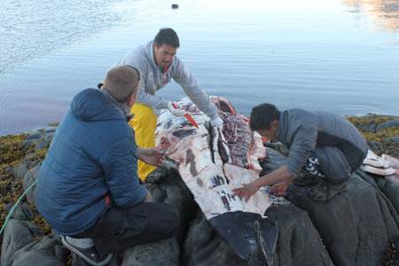 Tam wieloryb jest łatwiej dostępny niż kurczak