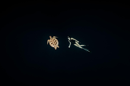 Julie Gautier, compagne du champion du monde d'apnée Guillaume Néry, plonge avec une tortue.