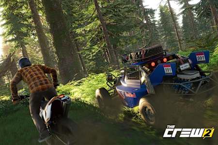 Dürfen es ein paar coole Exoten sein, die einfach Spaß machen?