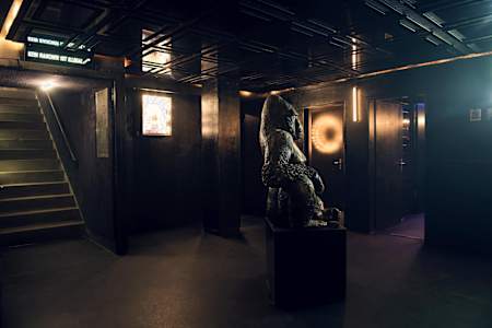 Der Gorilla vor der Tanzfläche im Club Zukunft.