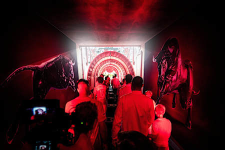 Der Weg des FC Red Bull Salzburg in die Königsklasse