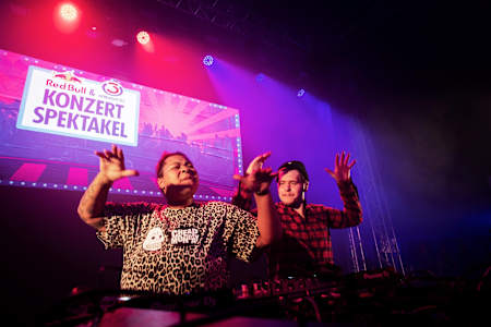 Ein Herz und eine Seele: Möwe und der Beat