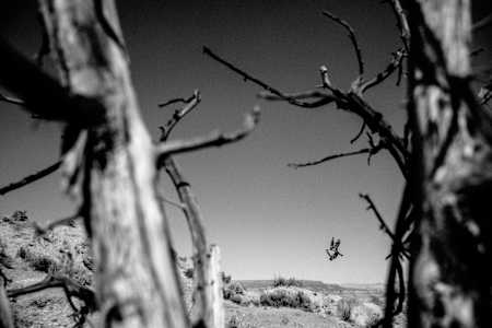 Tyler McCaul at Red Bull Rampage 2017