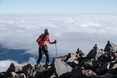 Chikorita en Tres Picos