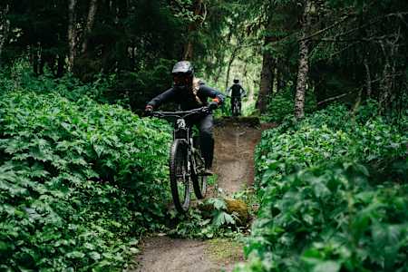 A rider jumping on the trail Västra in Åre Bike park during Åre Bike Festival 2021.