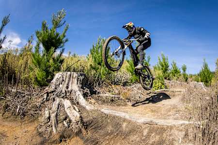 Brook MacDonald Whakarewarewa Forest in Rotorua 