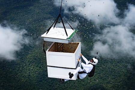 Luigi Cani skydives to release 100 million seeds above the Amazon.