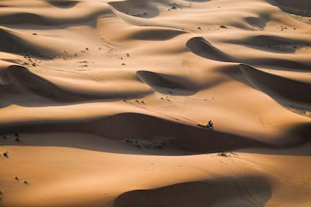 In the 2024 Dakar Rally, Daniel Sanders of Red Bull GasGas Factory Racing navigates sand dunes on his motorcycle during Stage 2 in Saudi Arabia