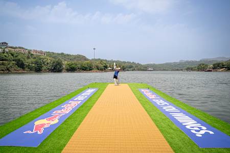 Ultimate Cricket Challenge