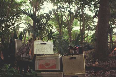 5 правил Zero Waste