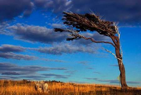Der Wind hat Kraft in Patagonien